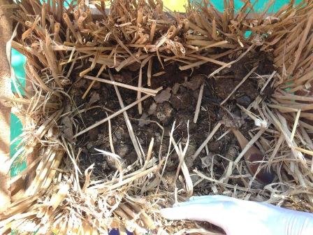 oikos_Pune_i_green_sm